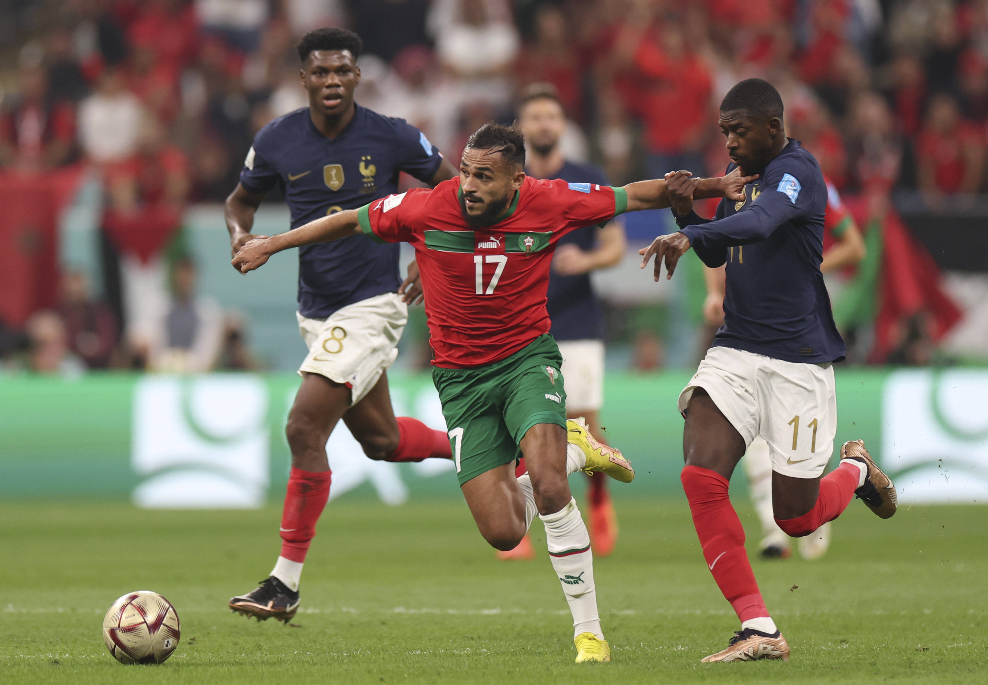 任何一个小 任何一个小